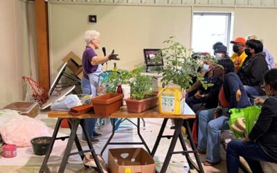 Spring Health & Plant Fair – Photos